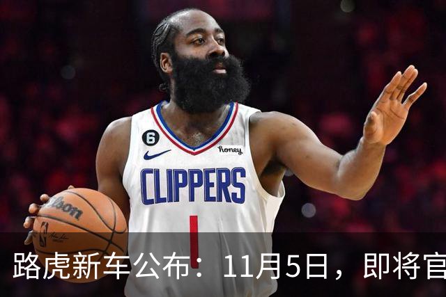 路虎新车公布：11月5日，即将官宣